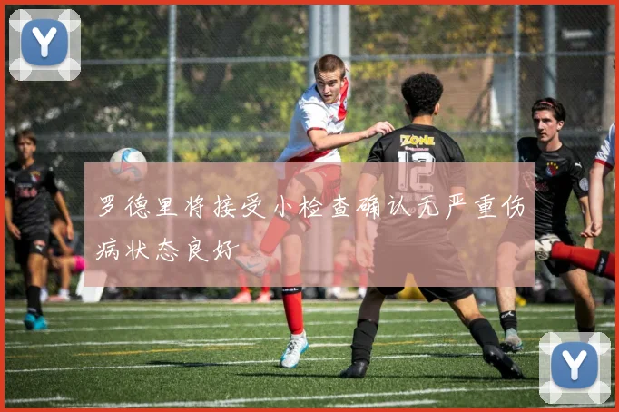 罗德里将接受小检查确认无严重伤病状态良好